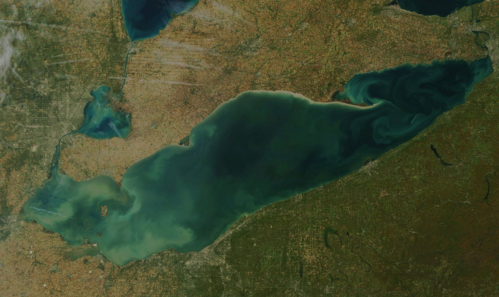 Algae in Lake Erie in 2015